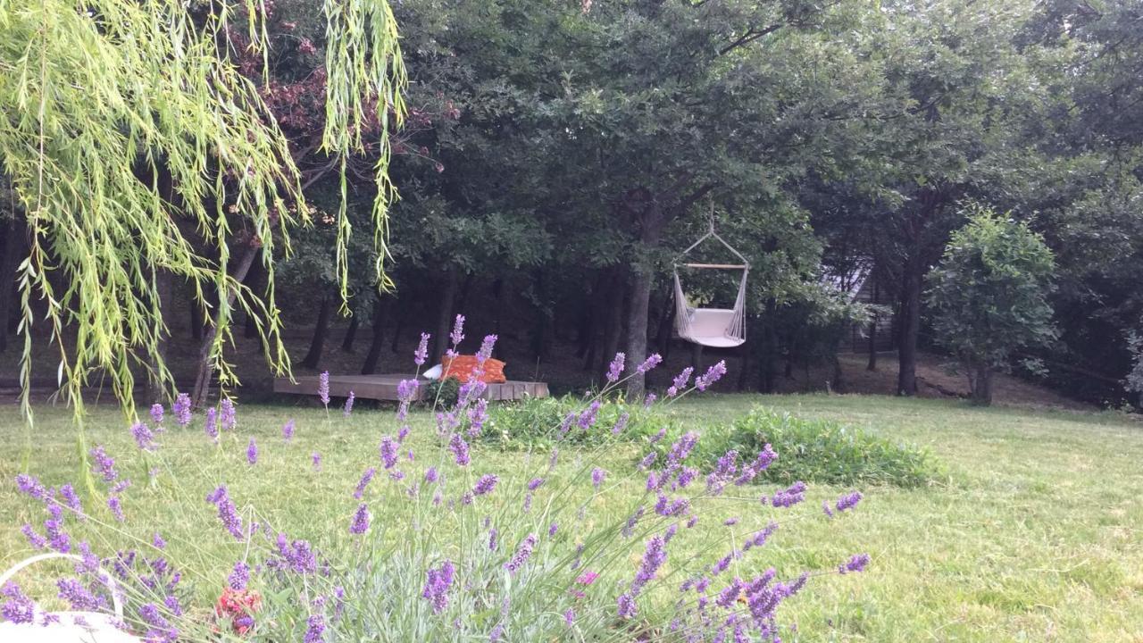 Bed and Breakfast Vieniacasaccadia Exterior foto
